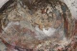 Colorful Polished Petrified Wood Dish - Madagascar #207409-1